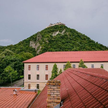 Pensiunea Vila Europa Deva Luaran gambar